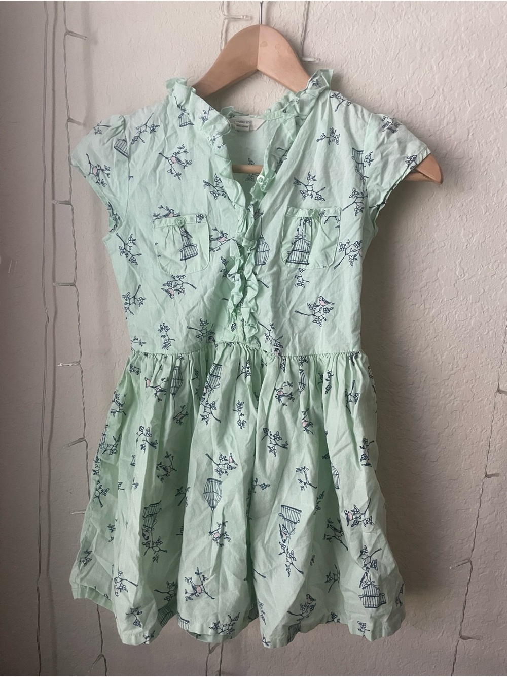 Lands' End Mint Green Cap Sleeve Dress with Birdcage Print